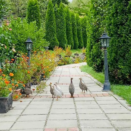 Family Borovitsa Pŭdartsi